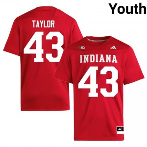 IU Bryce Taylor #43 Crimson Jersey | Essential Swen NCAA Football Youth Apparel 64479313