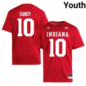 Crimson Ryland Gandy #10 Hoosiers Jersey | Youth High School Football Fresh Swen 61928123